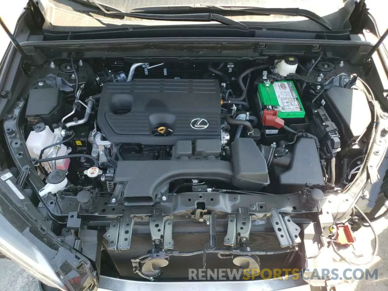 12 Photograph of a damaged car 2T2ADCAZ8SC019729 LEXUS NX 250 BAS 2025