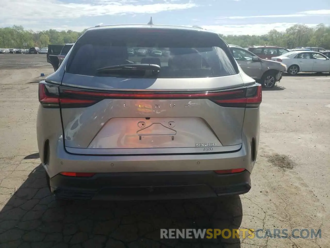 6 Фотография поврежденного автомобиля 2T2ADCEZ8SC005453 LEXUS NX 250 BAS 2025