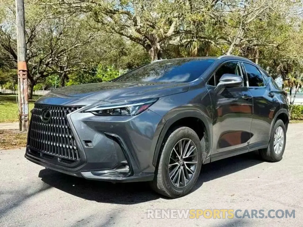 2 Фотография поврежденного автомобиля 2T2GDCAZ3RC008349 LEXUS NX 250 PRE 2024