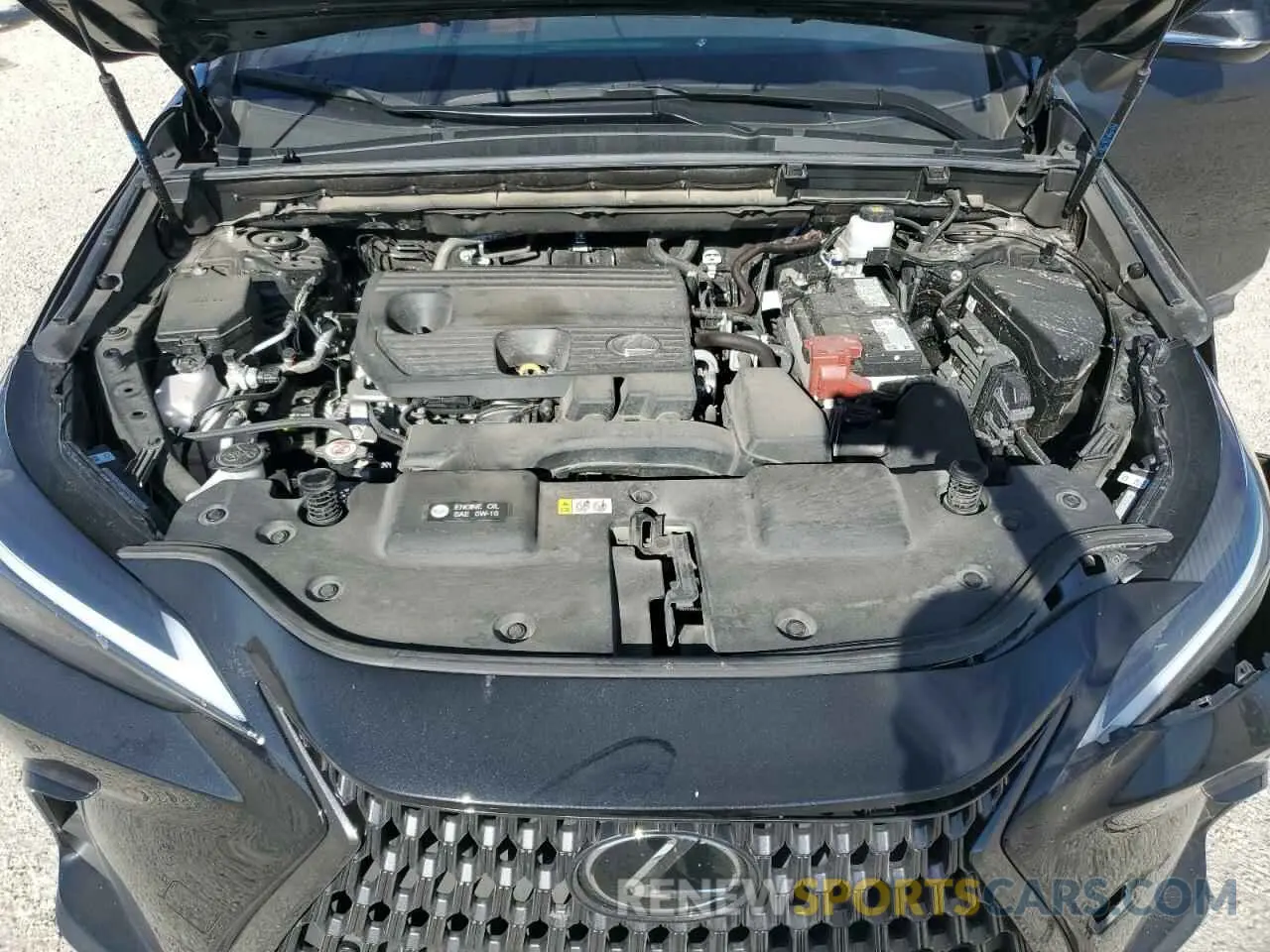 12 Фотография поврежденного автомобиля 2T2GDCAZ6RC009866 LEXUS NX 250 PRE 2024