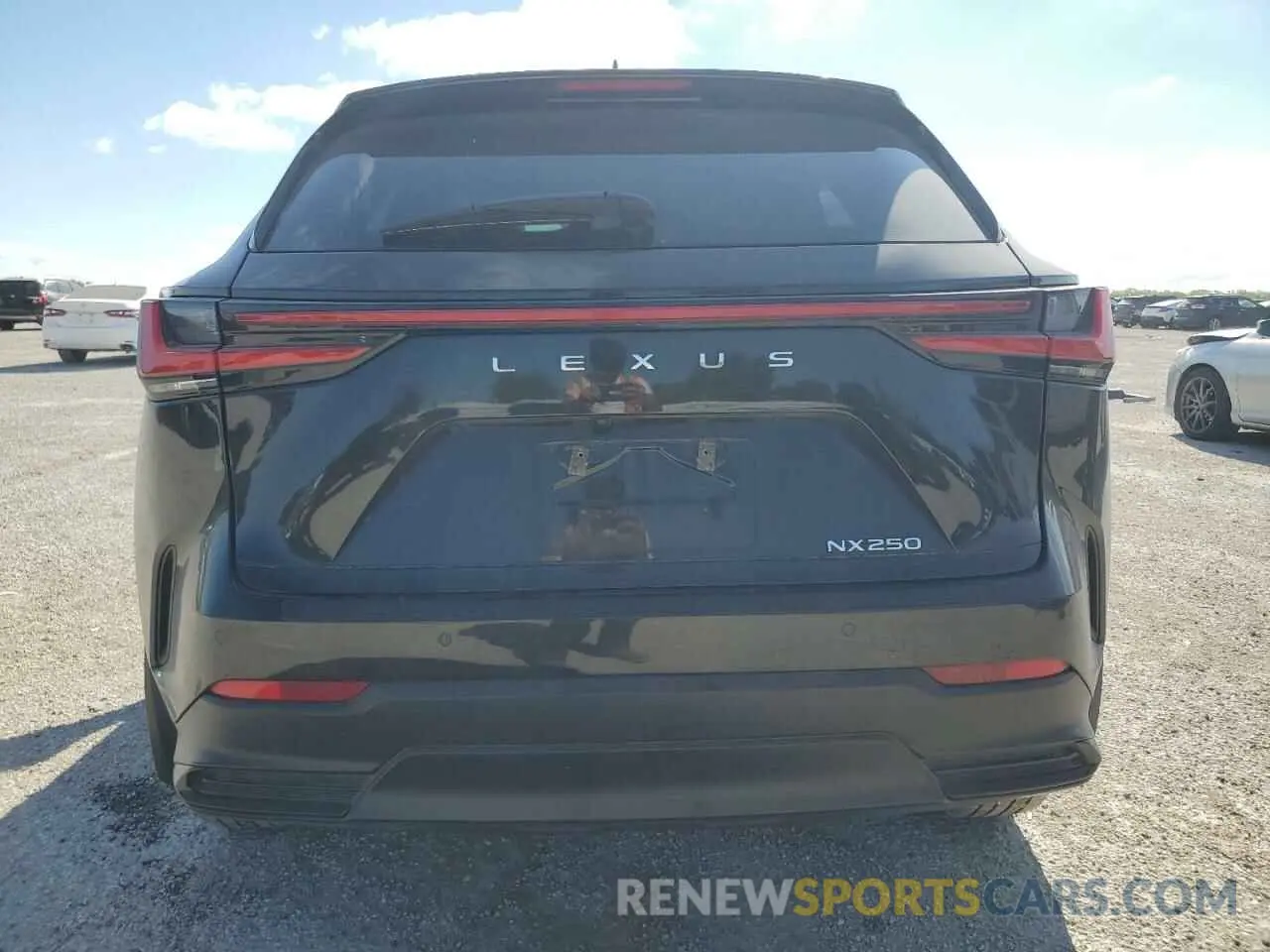 6 Фотография поврежденного автомобиля 2T2GDCAZ6RC009866 LEXUS NX 250 PRE 2024