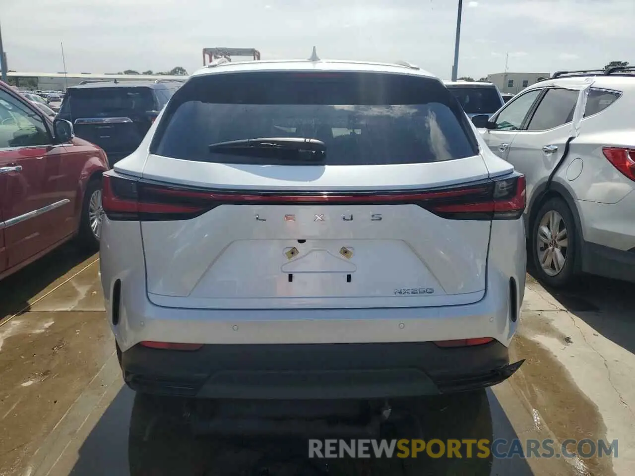 6 Photograph of a damaged car 2T2GDCAZ7RC007723 LEXUS NX 250 PRE 2024