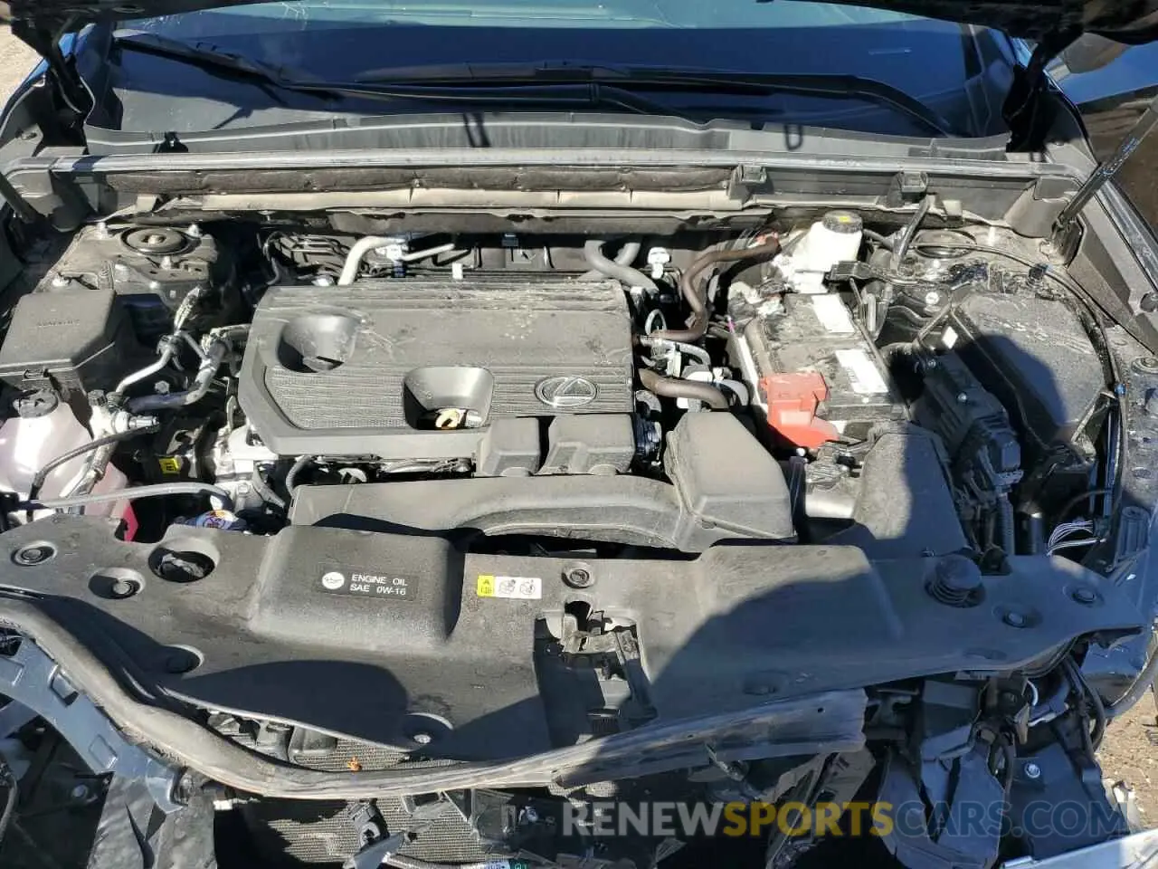 12 Photograph of a damaged car 2T2GDCAZ8RC014499 LEXUS NX 250 PRE 2024