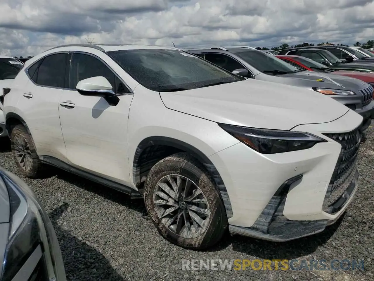4 Фотография поврежденного автомобиля 2T2GDCAZXSC020763 LEXUS NX 250 PRE 2025