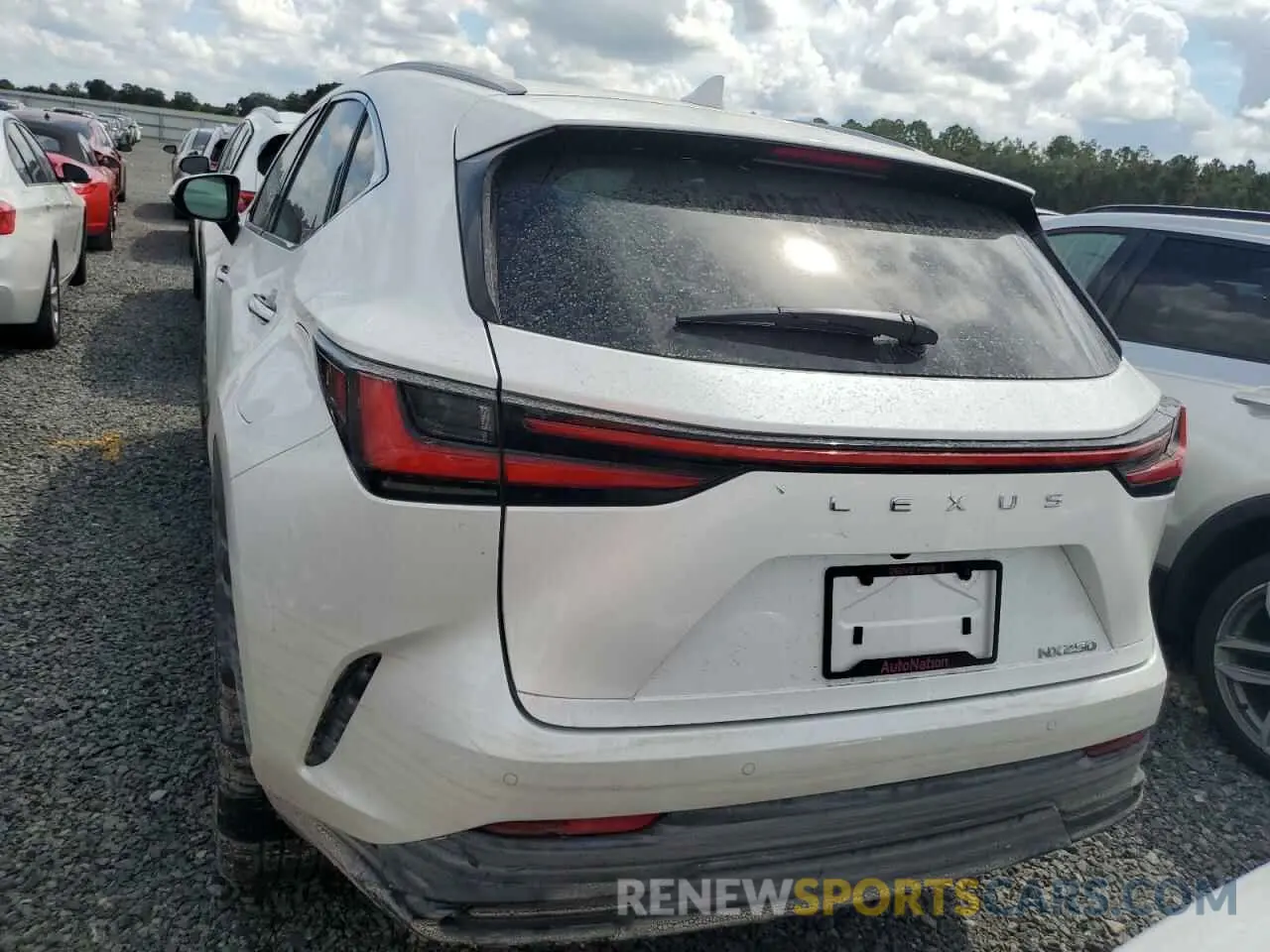 6 Фотография поврежденного автомобиля 2T2GDCAZXSC020763 LEXUS NX 250 PRE 2025
