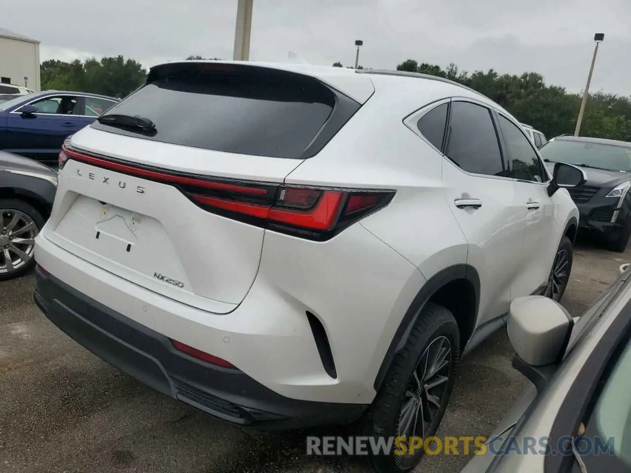 3 Photograph of a damaged car JTJGDCAZ1S5023856 LEXUS NX 250 PRE 2025
