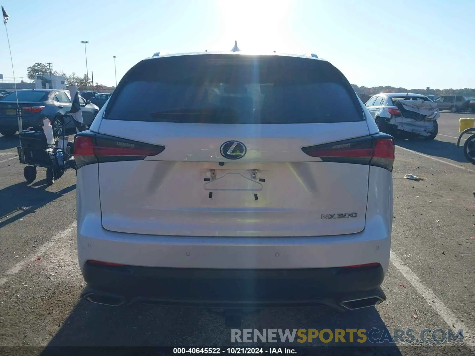 16 Фотография поврежденного автомобиля JTJBARBZ5K2194227 LEXUS NX 300 2019