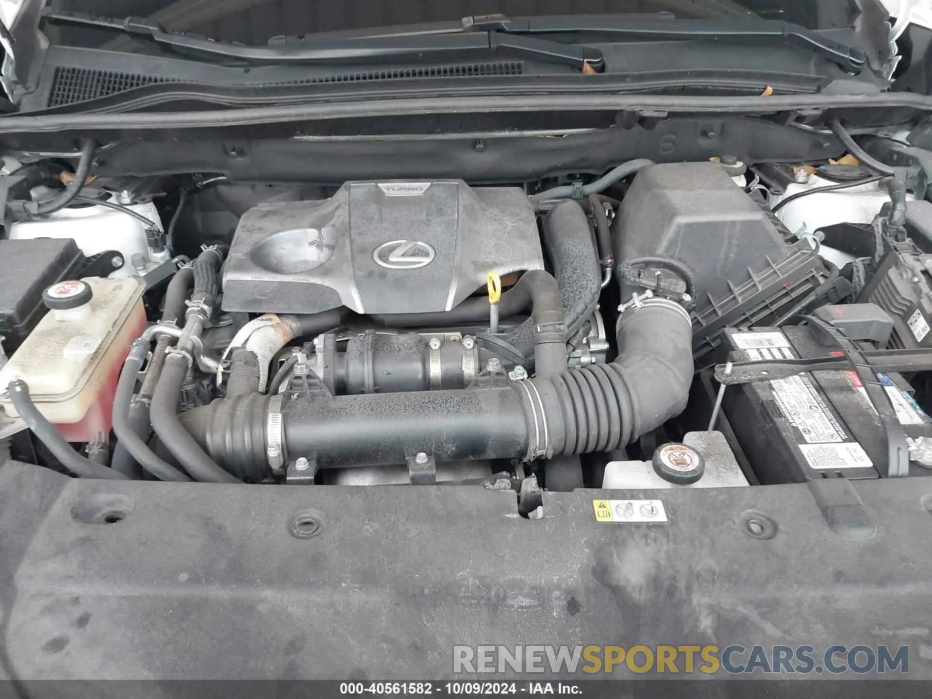 10 Фотография поврежденного автомобиля JTJGARBZ3L2170127 LEXUS NX 300 2020