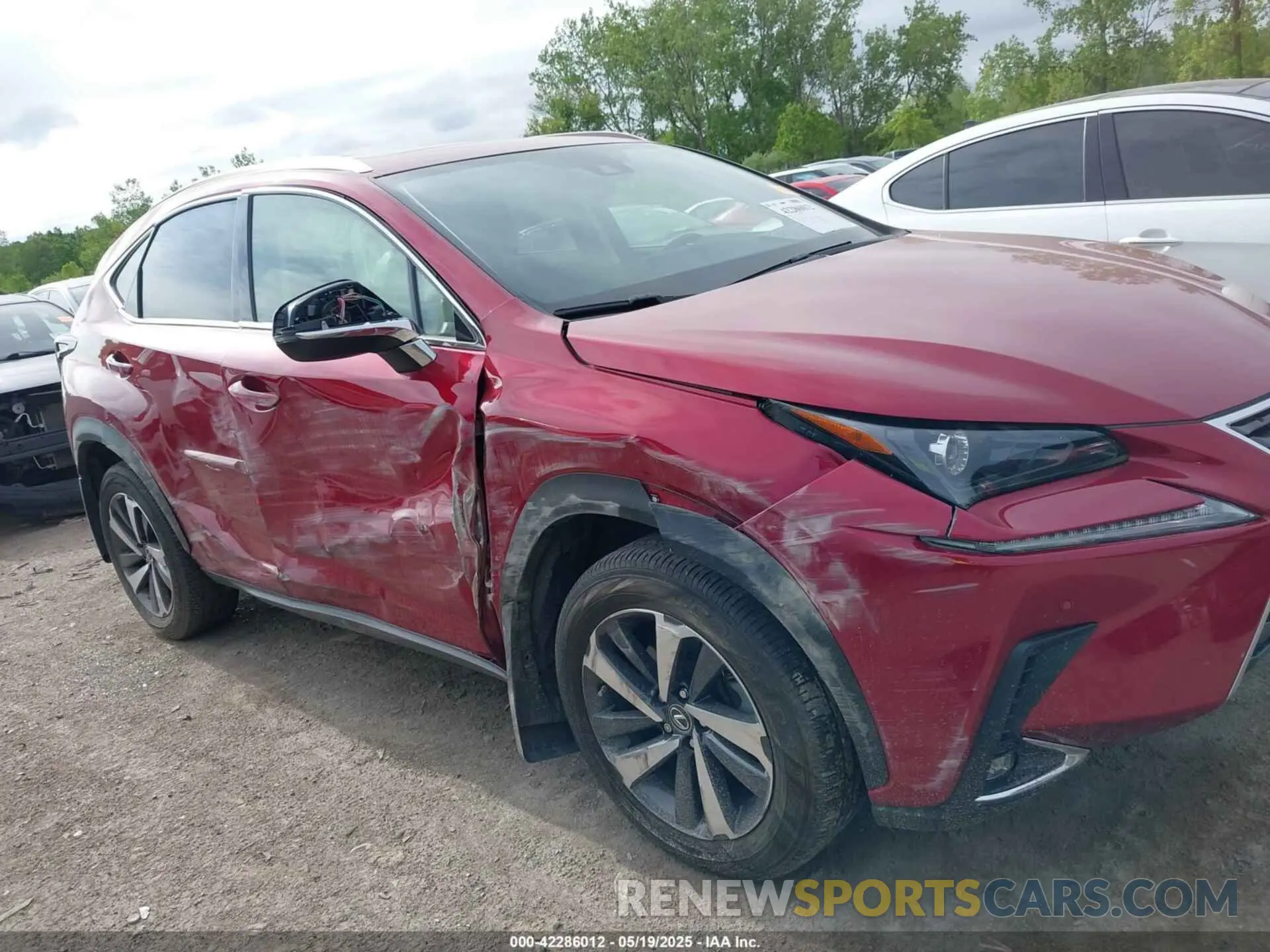 13 Photograph of a damaged car JTJGARDZ7L5013597 LEXUS NX 300 2020