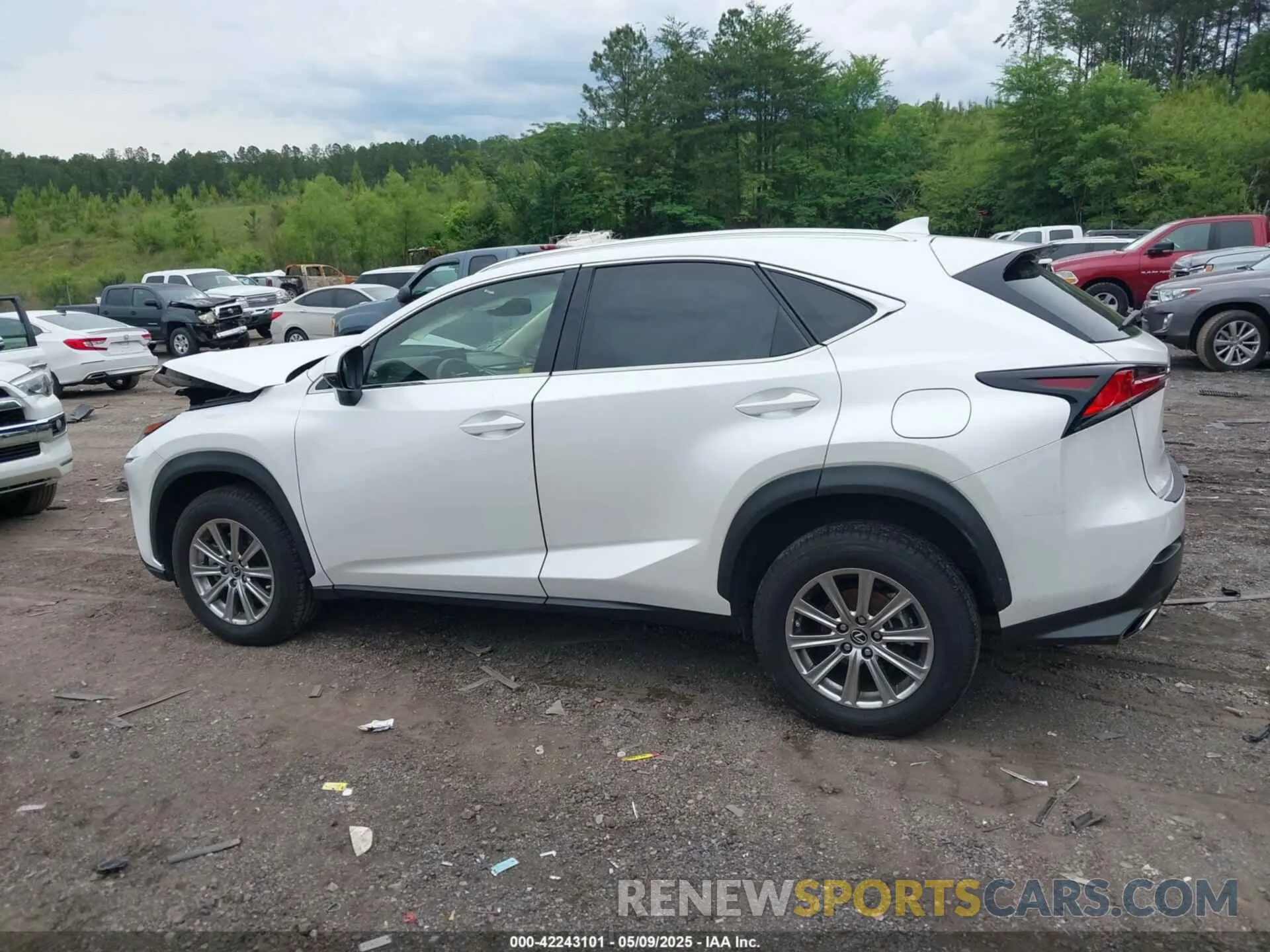 14 Фотография поврежденного автомобиля JTJDARBZ6M5035226 LEXUS NX 300 2021