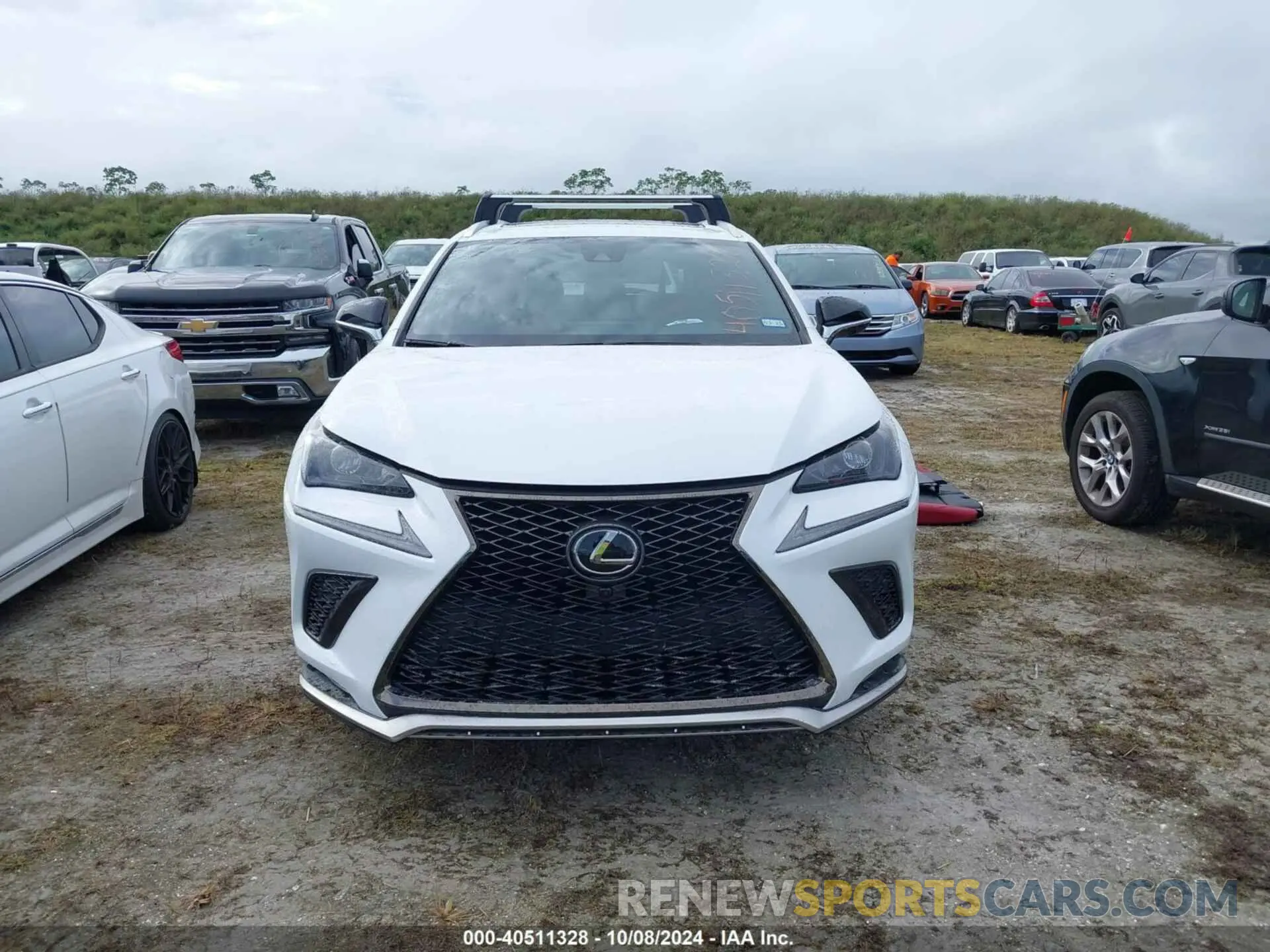 12 Photograph of a damaged car JTJSARBZ6M5027134 LEXUS NX 300 2021