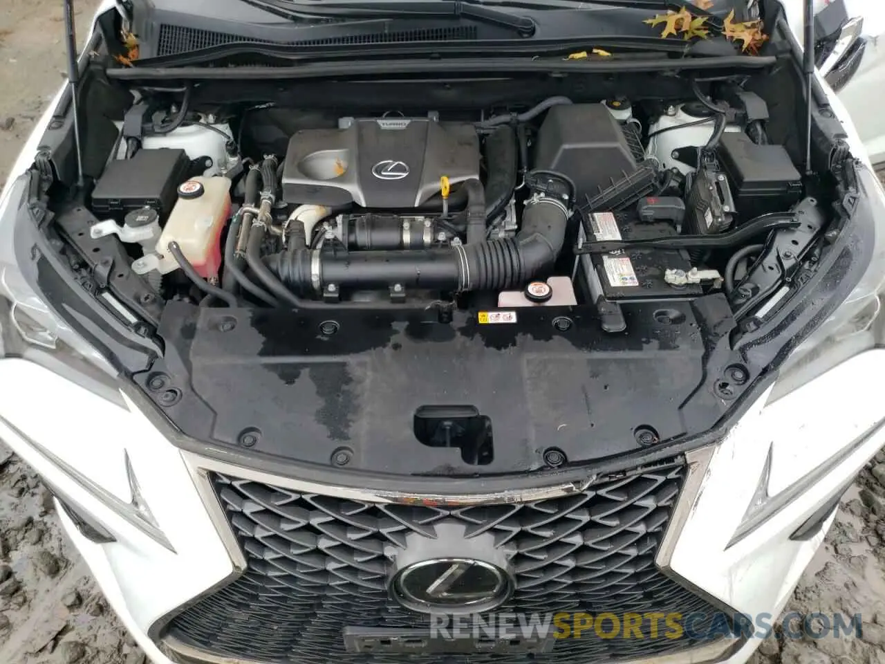 12 Фотография поврежденного автомобиля JTJSARDZ9L2226241 LEXUS NX 300 F S 2020