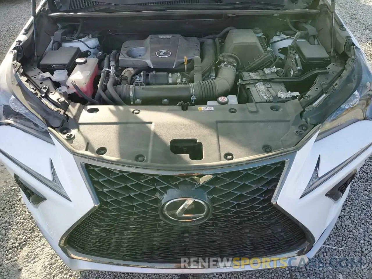 12 Фотография поврежденного автомобиля JTJSARDZXL5013409 LEXUS NX 300 F S 2020