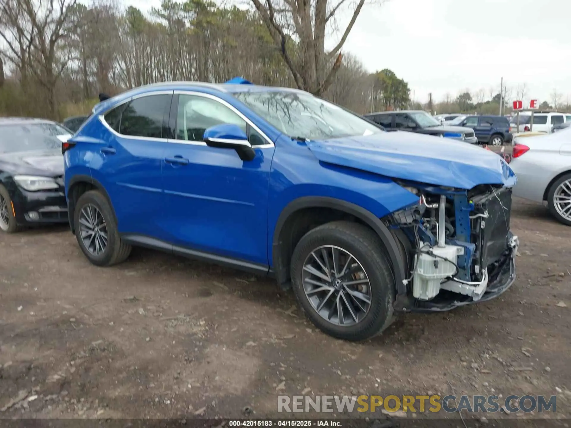 13 Photograph of a damaged car 2T2AGCEZ9NC014240 LEXUS NX 350 2022