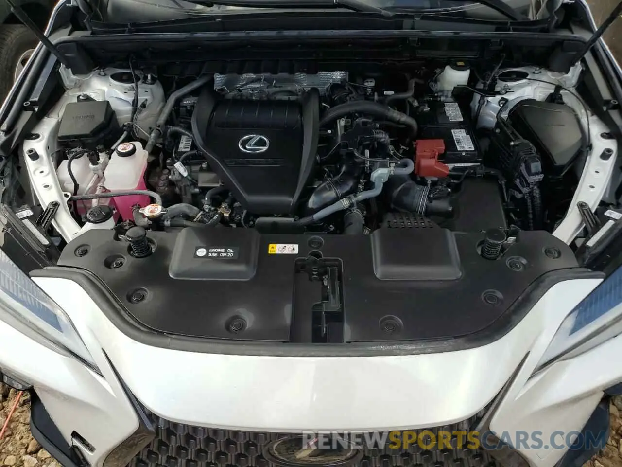 12 Фотография поврежденного автомобиля 2T2GGCEZ0NC003878 LEXUS NX 350 2022