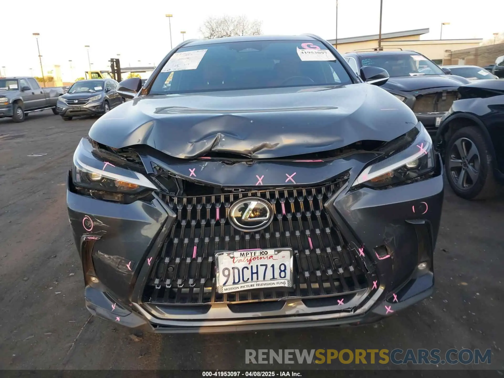 13 Photograph of a damaged car JTJGGCEZ5N5004331 LEXUS NX 350 2022