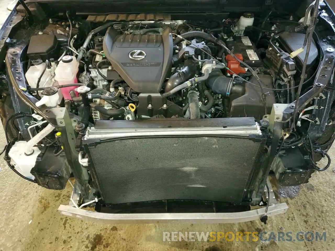 12 Photograph of a damaged car 2T2GGCEZ4PC020024 LEXUS NX 350 2023