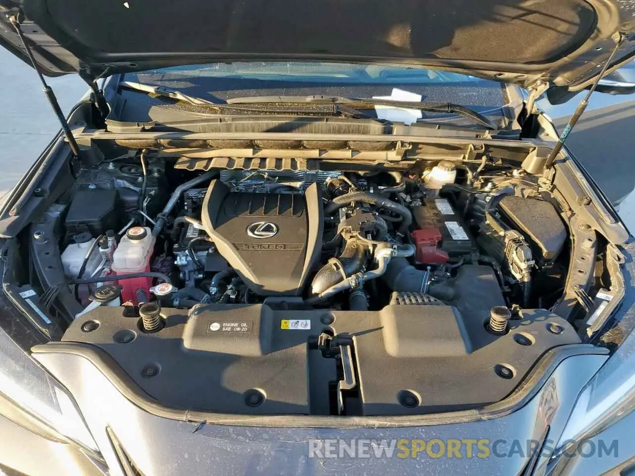 12 Фотография поврежденного автомобиля 2T2GGCEZ6PC023331 LEXUS NX 350 2023