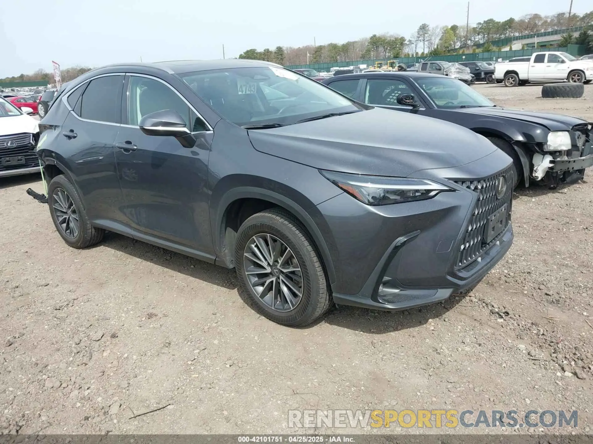 1 Photograph of a damaged car 2T2GGCEZ8PC024142 LEXUS NX 350 2023