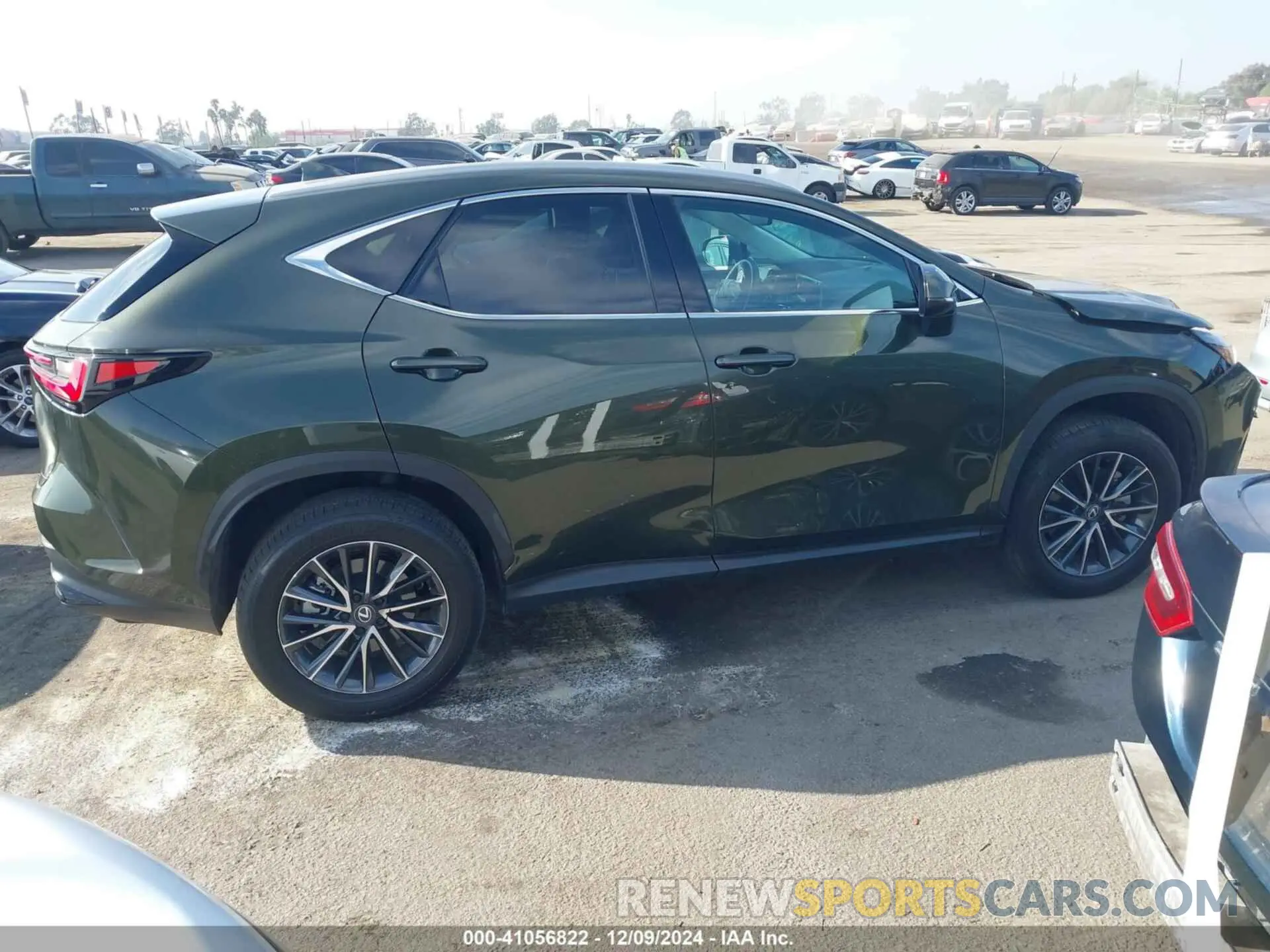 13 Фотография поврежденного автомобиля 2T2AGCEZXRC042490 LEXUS NX 350 2024