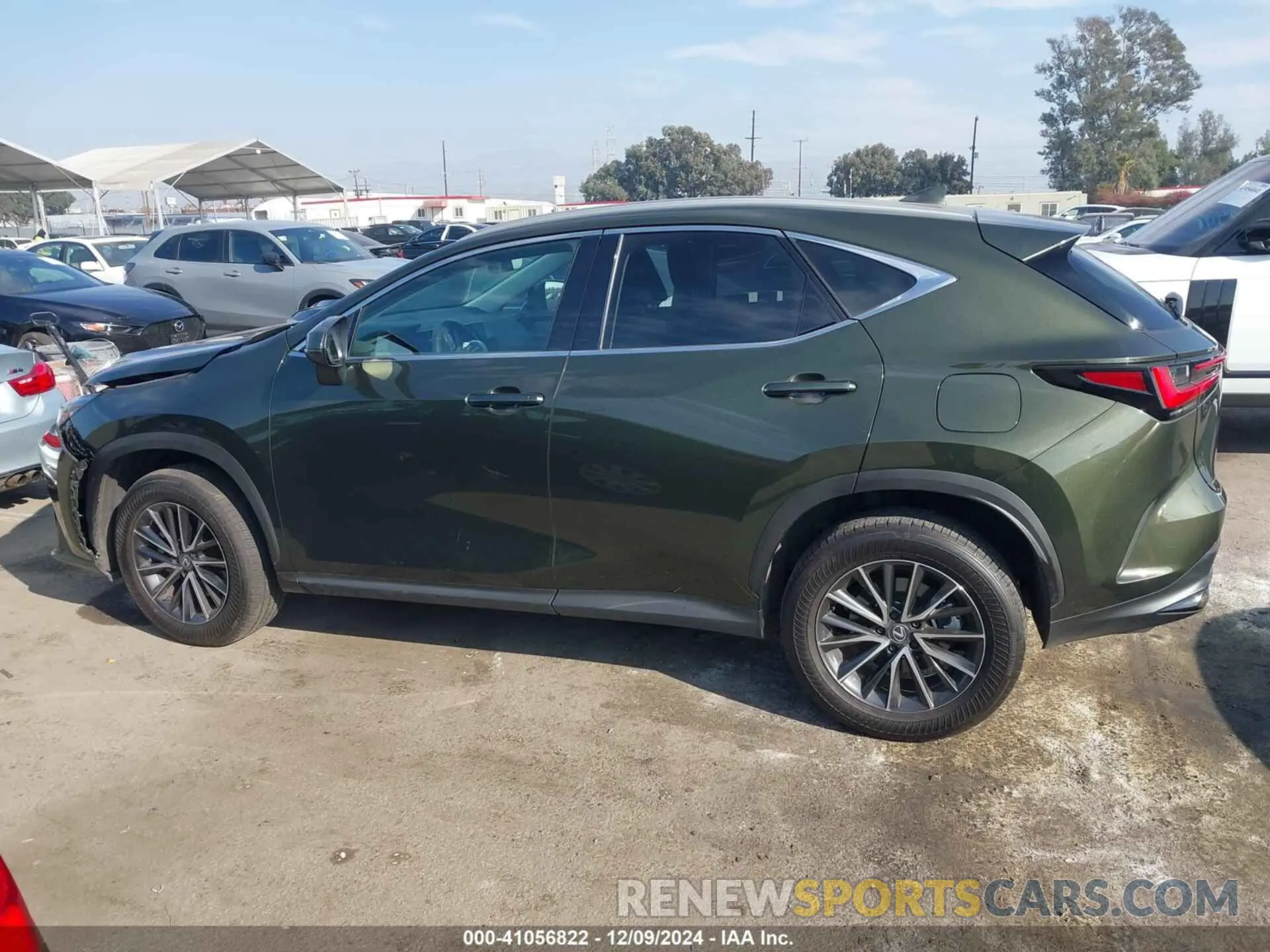 14 Фотография поврежденного автомобиля 2T2AGCEZXRC042490 LEXUS NX 350 2024