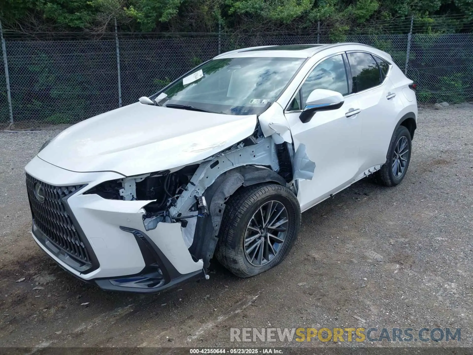 2 Photograph of a damaged car JTJGGCEZ3R5009923 LEXUS NX 350 2024