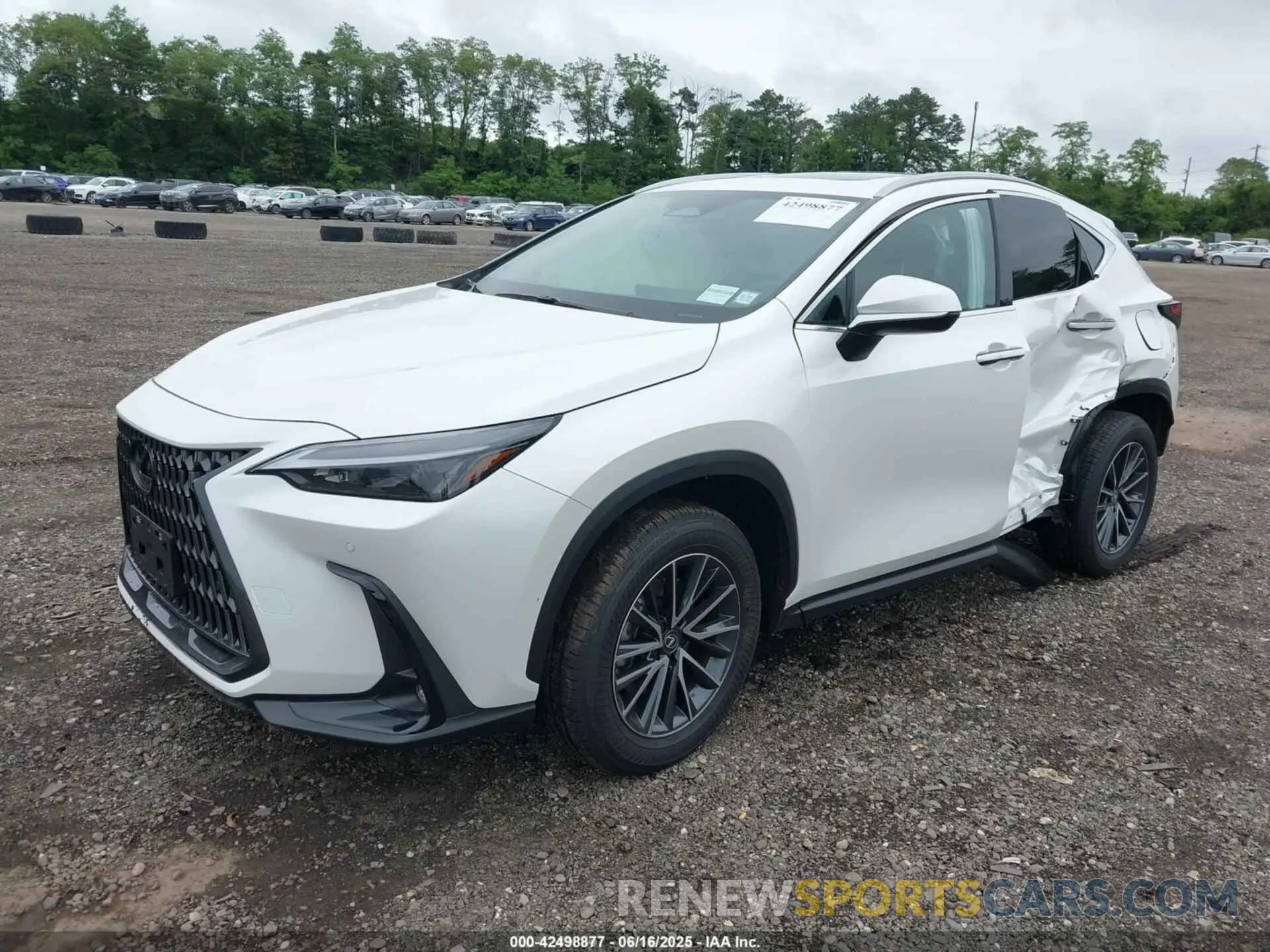 2 Photograph of a damaged car 2T2GGCEZ1SC081789 LEXUS NX 350 2025