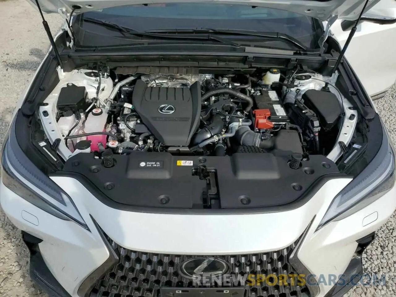 12 Photograph of a damaged car 2T2HGCEZ0RC032775 LEXUS NX 350 LUX 2024