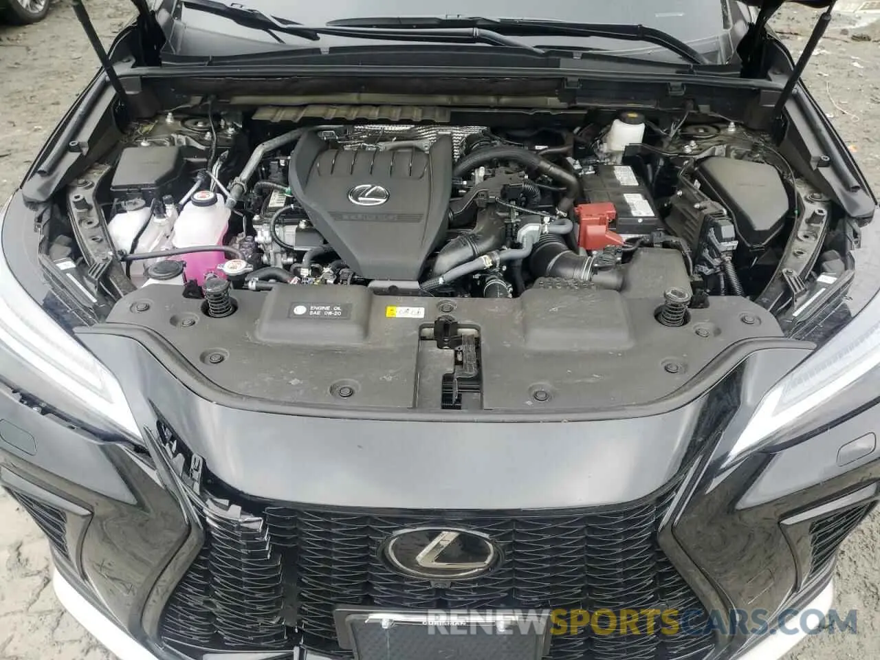 13 Photograph of a damaged car 2T2KGCEZXSC078478 LEXUS NX 350 LUX 2025