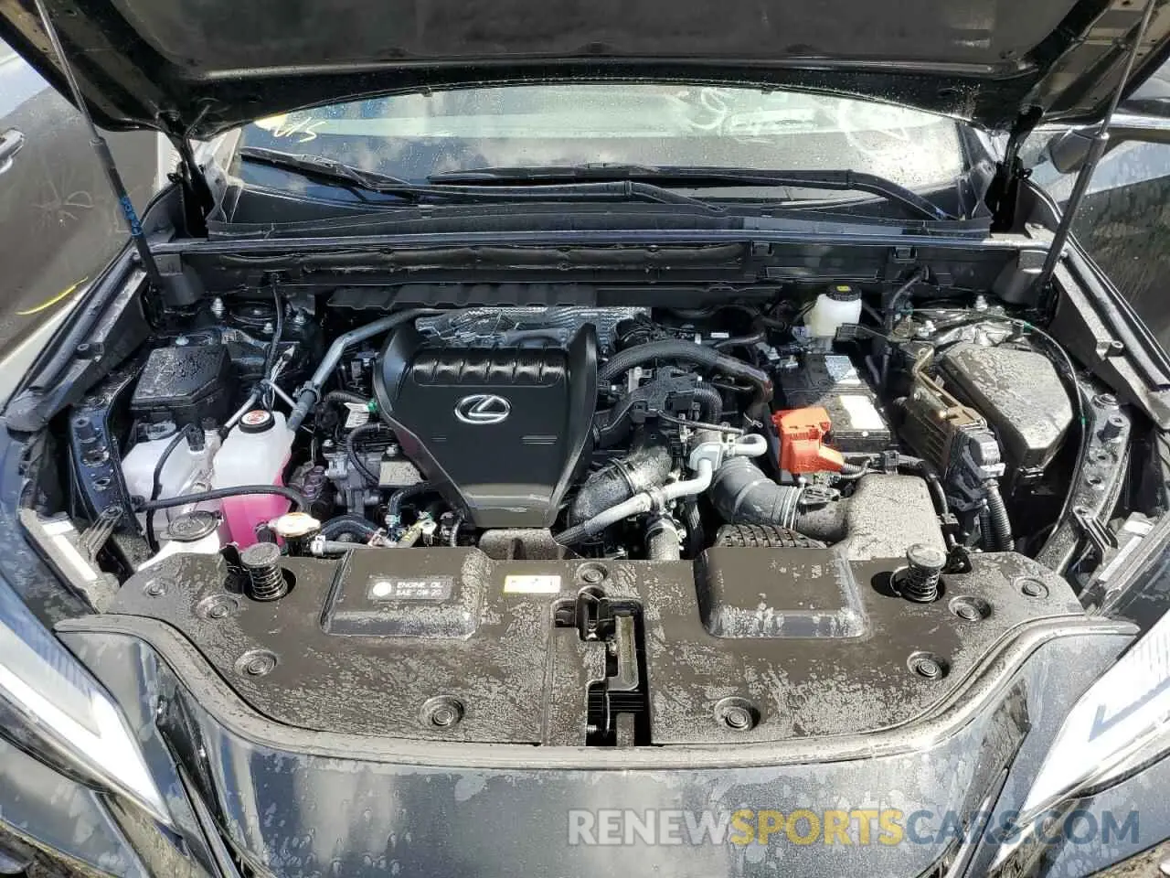 12 Фотография поврежденного автомобиля 2T2GGCEZ0RC054321 LEXUS NX 350 PRE 2024