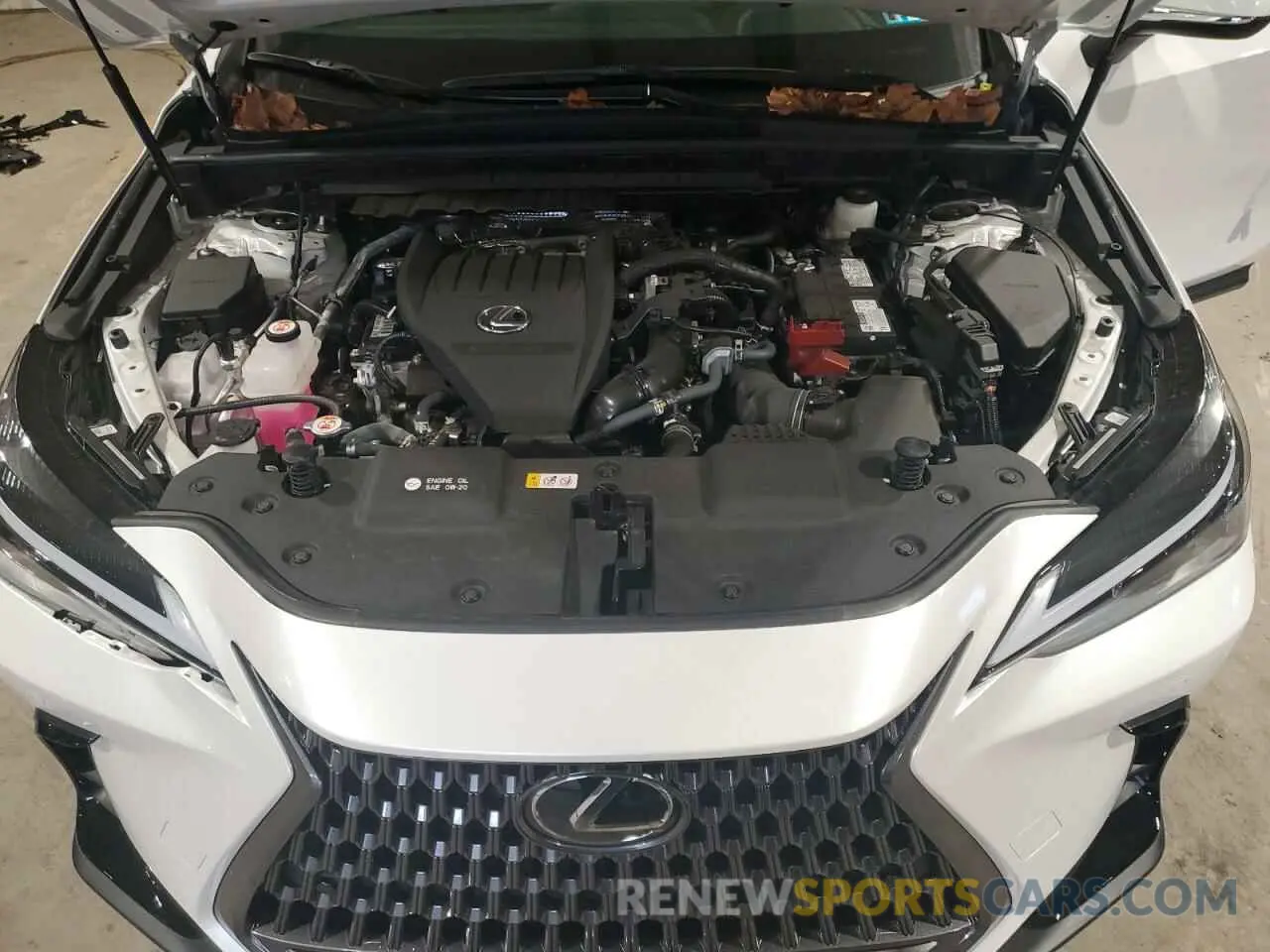 12 Photograph of a damaged car 2T2GGCEZ2RC039917 LEXUS NX 350 PRE 2024
