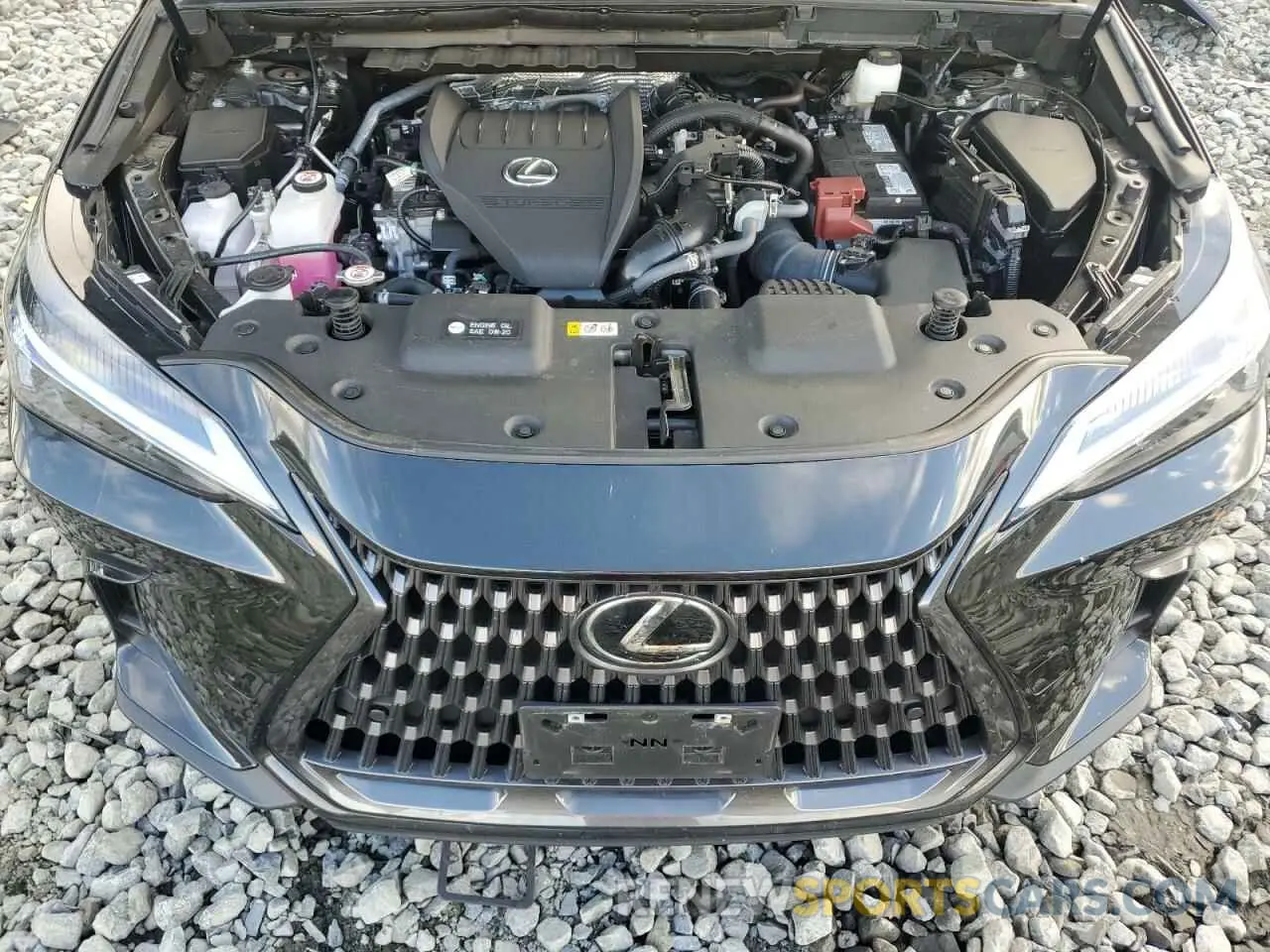 12 Фотография поврежденного автомобиля 2T2GGCEZ7RC051142 LEXUS NX 350 PRE 2024