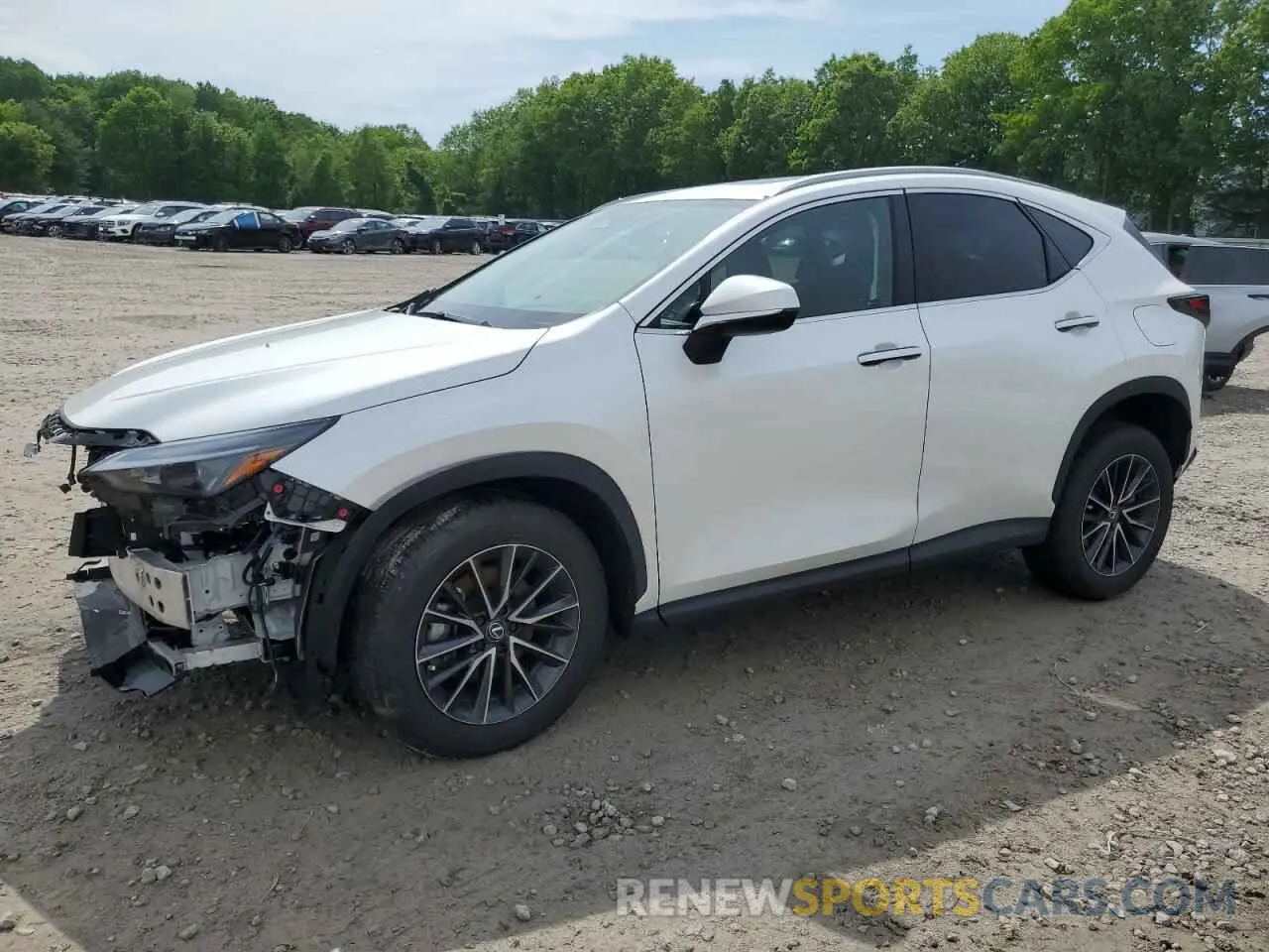1 Photograph of a damaged car 2T2GGCEZXRC052446 LEXUS NX 350 PRE 2024