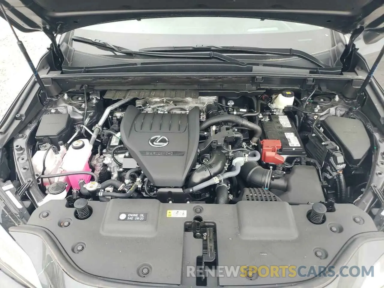 12 Фотография поврежденного автомобиля 2T2GGCEZ4SC081138 LEXUS NX 350 PRE 2025