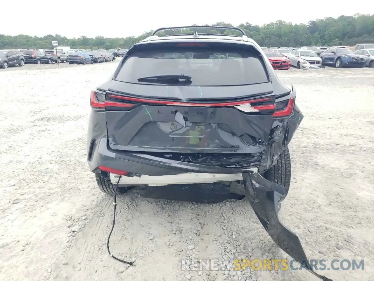 6 Фотография поврежденного автомобиля 2T2GGCEZ4SC081138 LEXUS NX 350 PRE 2025