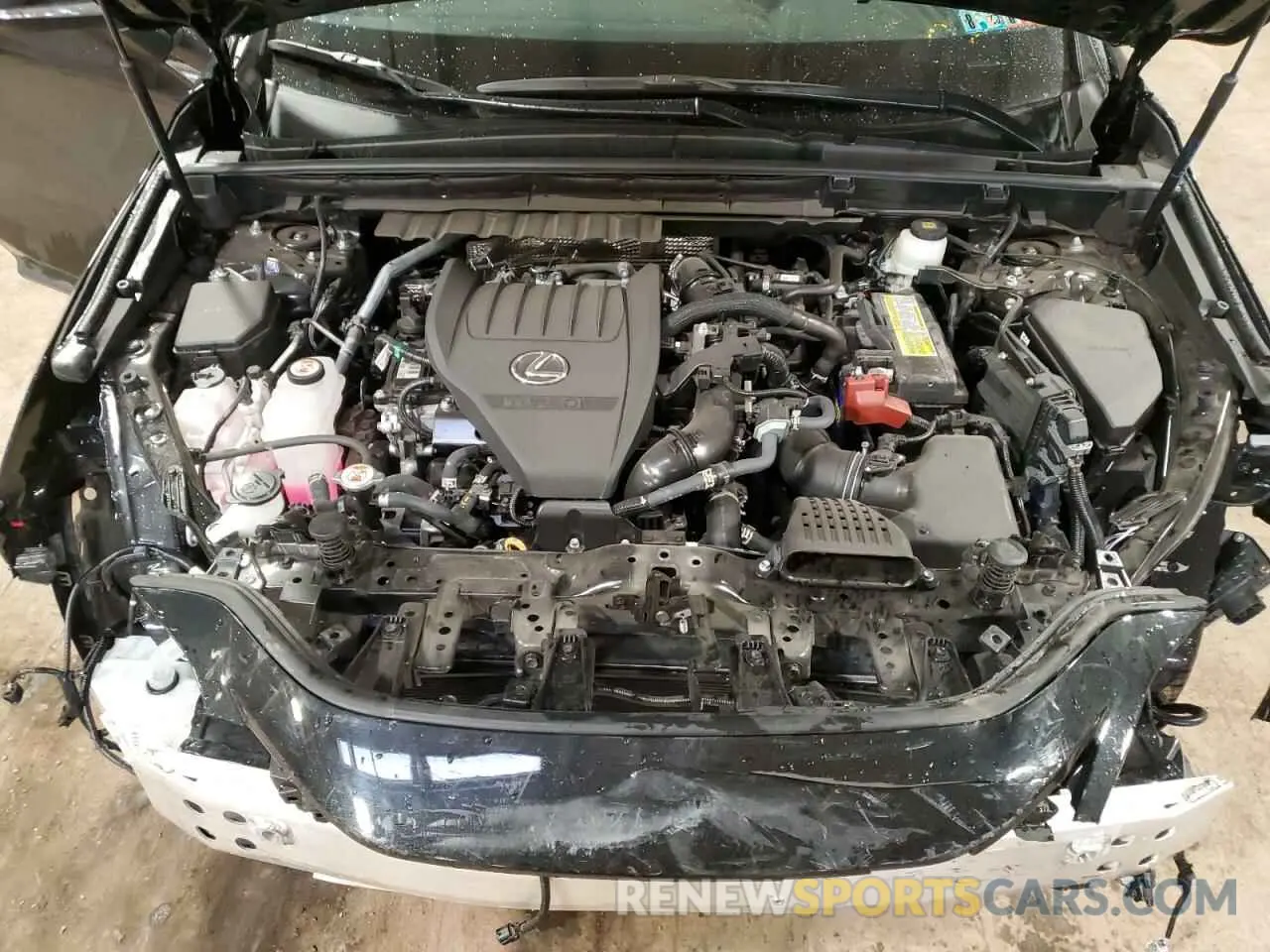 12 Фотография поврежденного автомобиля 2T2GGCEZ5SC066356 LEXUS NX 350 PRE 2025