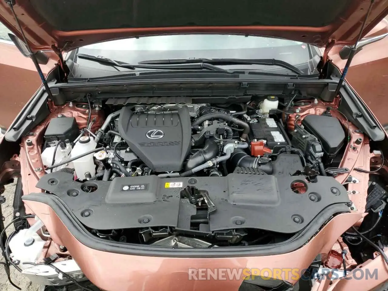 13 Фотография поврежденного автомобиля 2T2GGCEZ6SC071842 LEXUS NX 350 PRE 2025