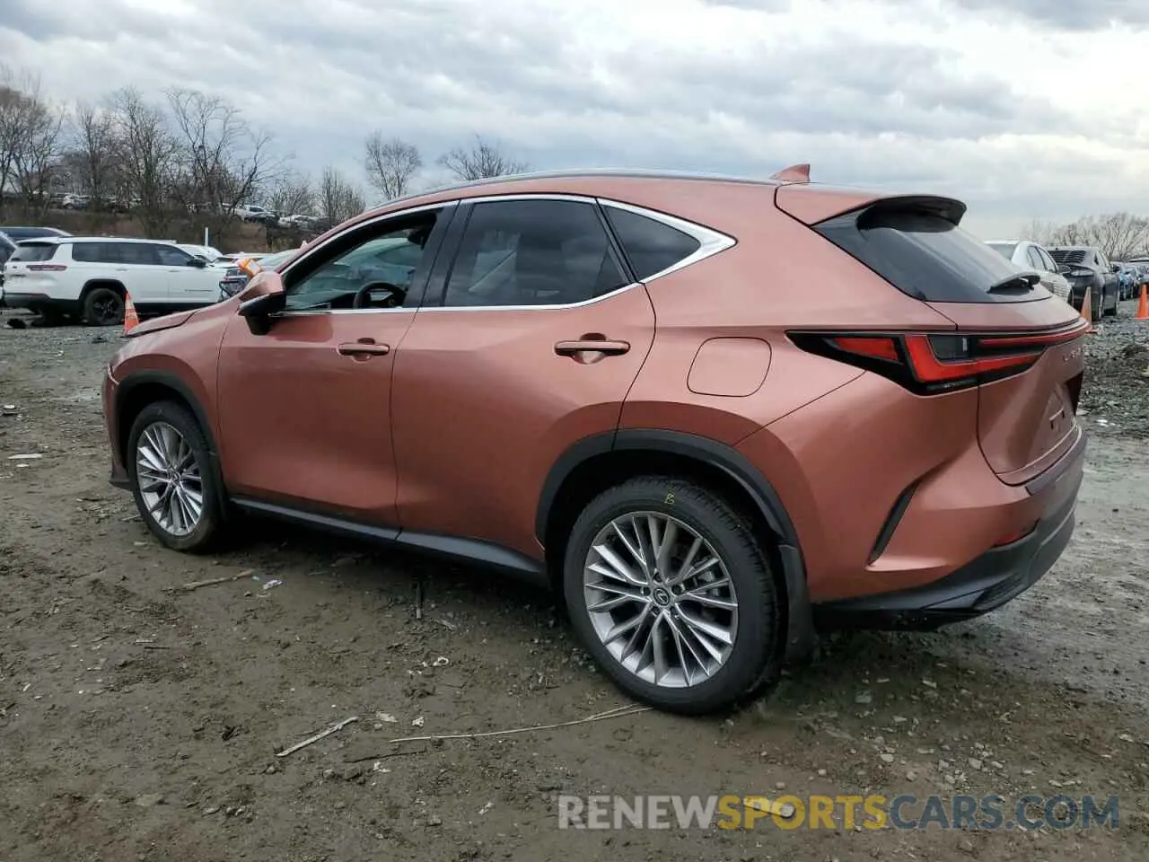 2 Фотография поврежденного автомобиля 2T2GGCEZ6SC071842 LEXUS NX 350 PRE 2025