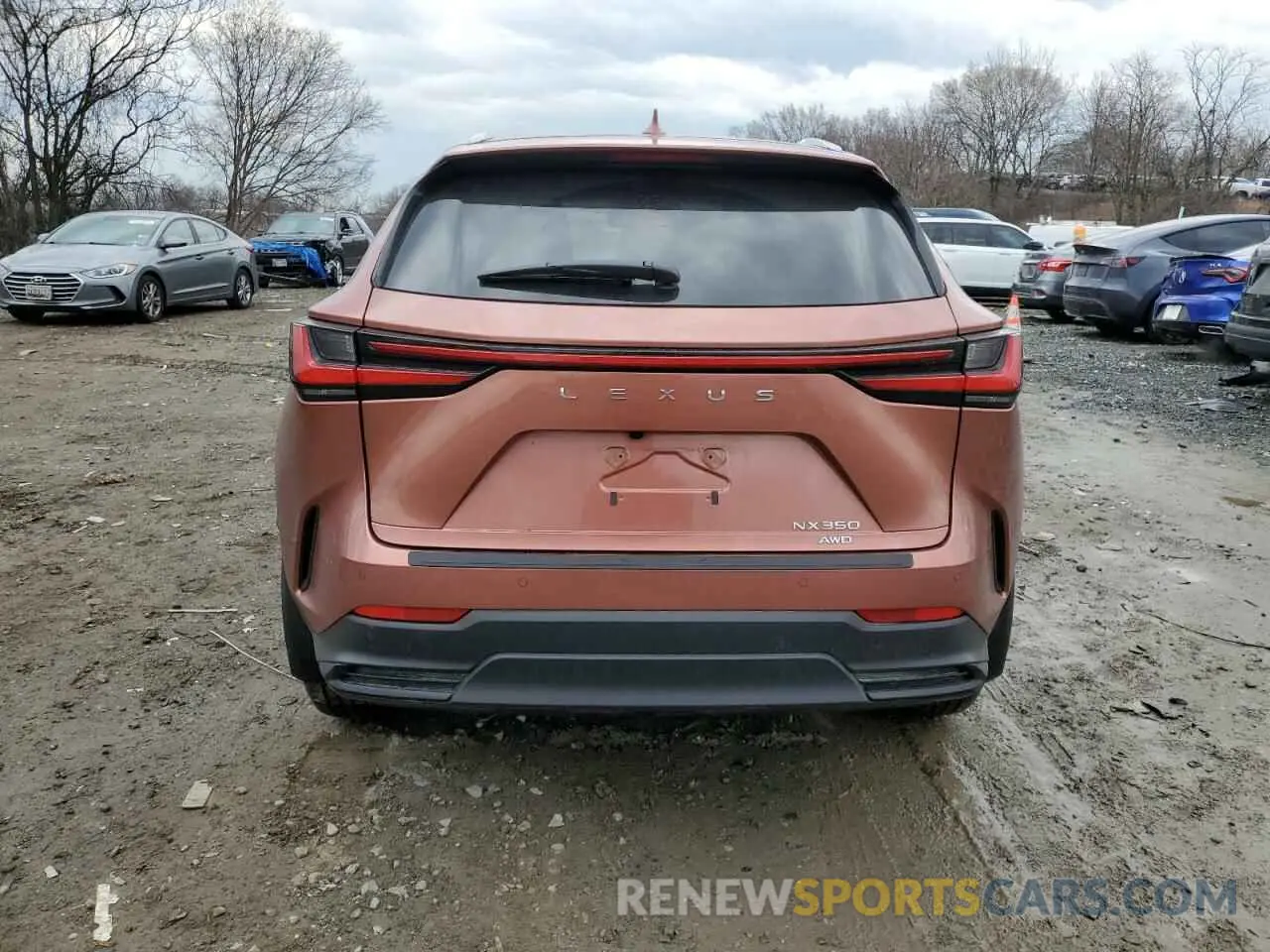 6 Фотография поврежденного автомобиля 2T2GGCEZ6SC071842 LEXUS NX 350 PRE 2025