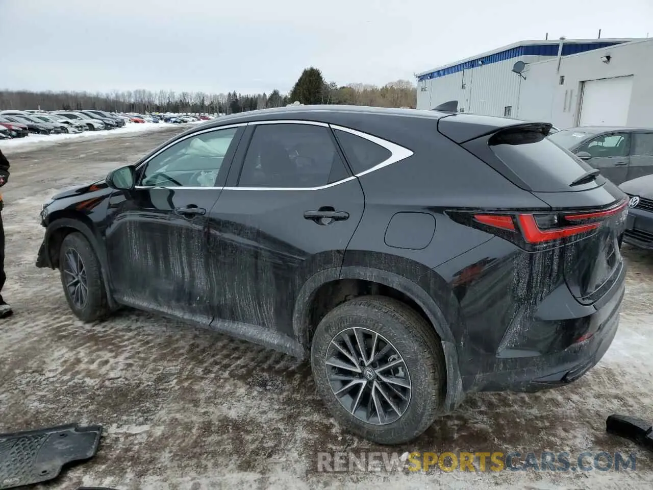 2 Фотография поврежденного автомобиля 2T2GGCEZ8SC073267 LEXUS NX 350 PRE 2025