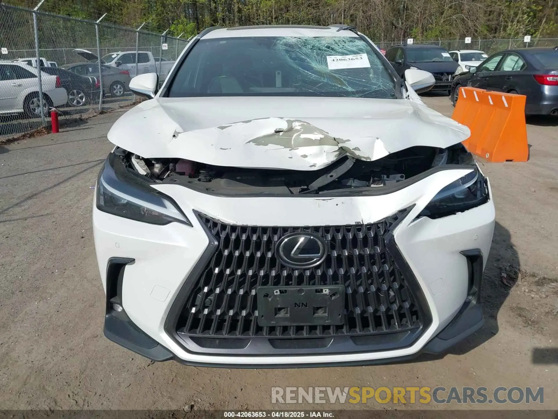 12 Фотография поврежденного автомобиля 2T2GKCEZ6NC002264 LEXUS NX 350H 2022