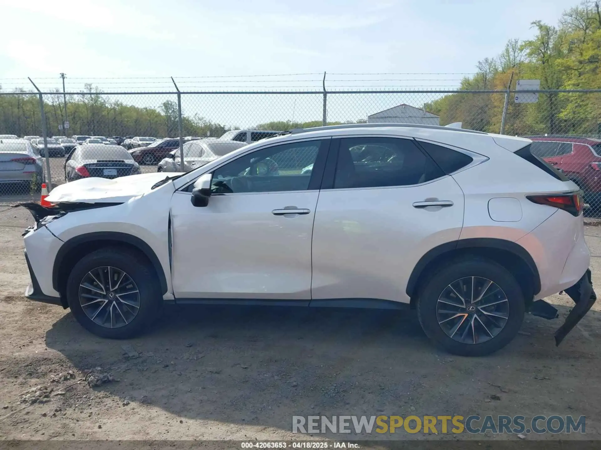 14 Фотография поврежденного автомобиля 2T2GKCEZ6NC002264 LEXUS NX 350H 2022
