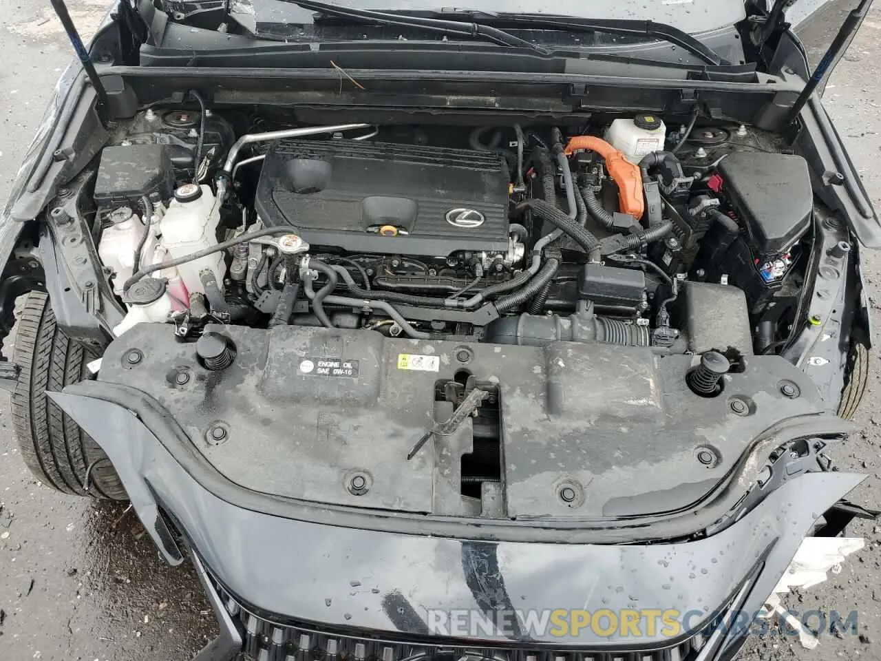 13 Фотография поврежденного автомобиля 2T2GKCEZ8NC008566 LEXUS NX 350H 2022