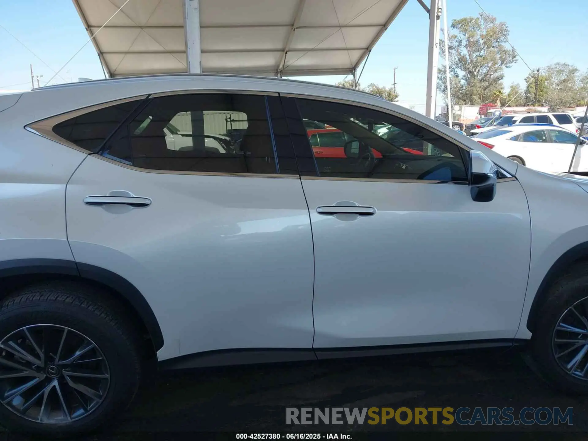 13 Photograph of a damaged car JTJAKCEZ4N5004616 LEXUS NX 350H 2022