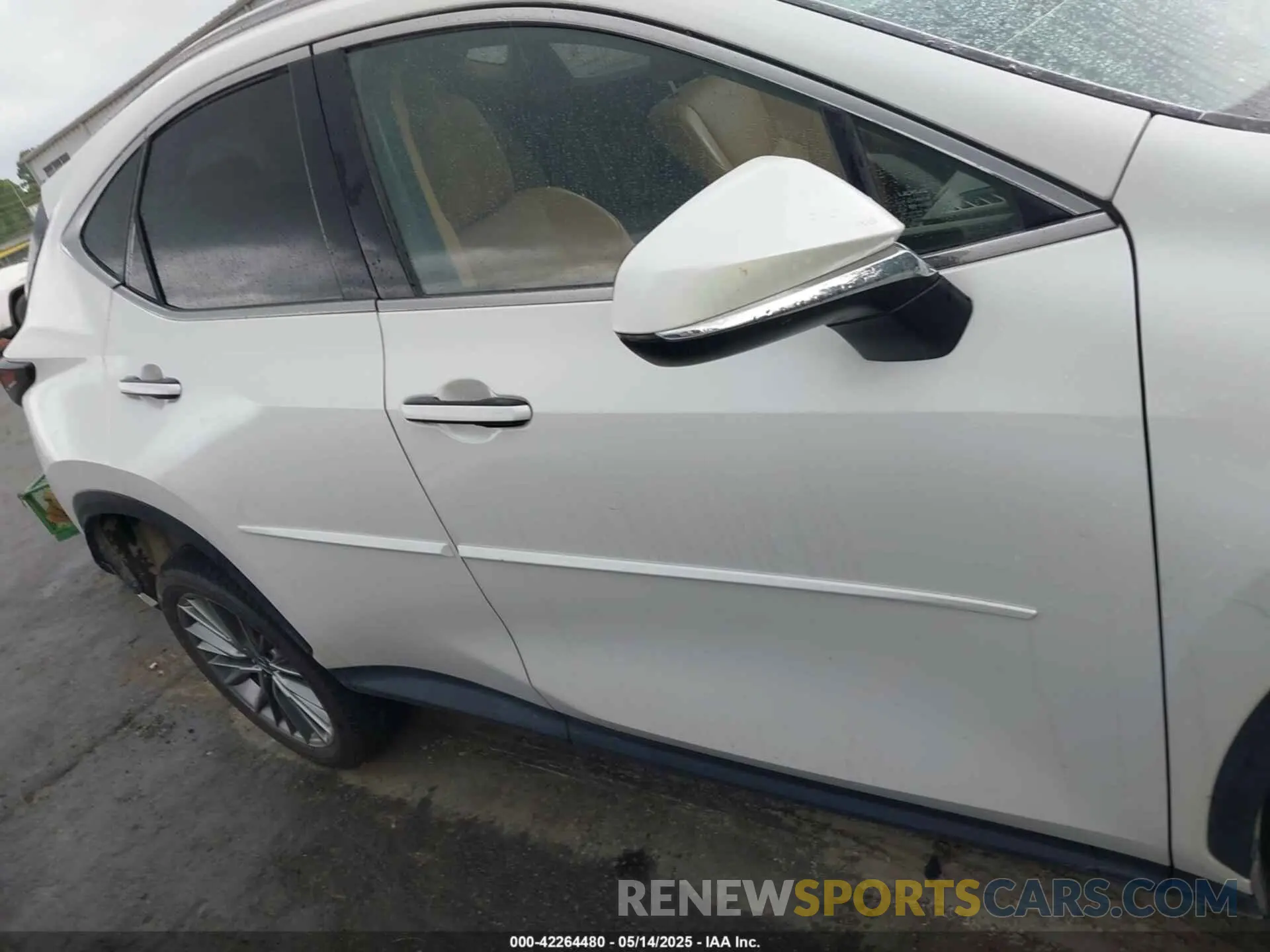 13 Photograph of a damaged car JTJGKCEZ5N5002142 LEXUS NX 350H 2022