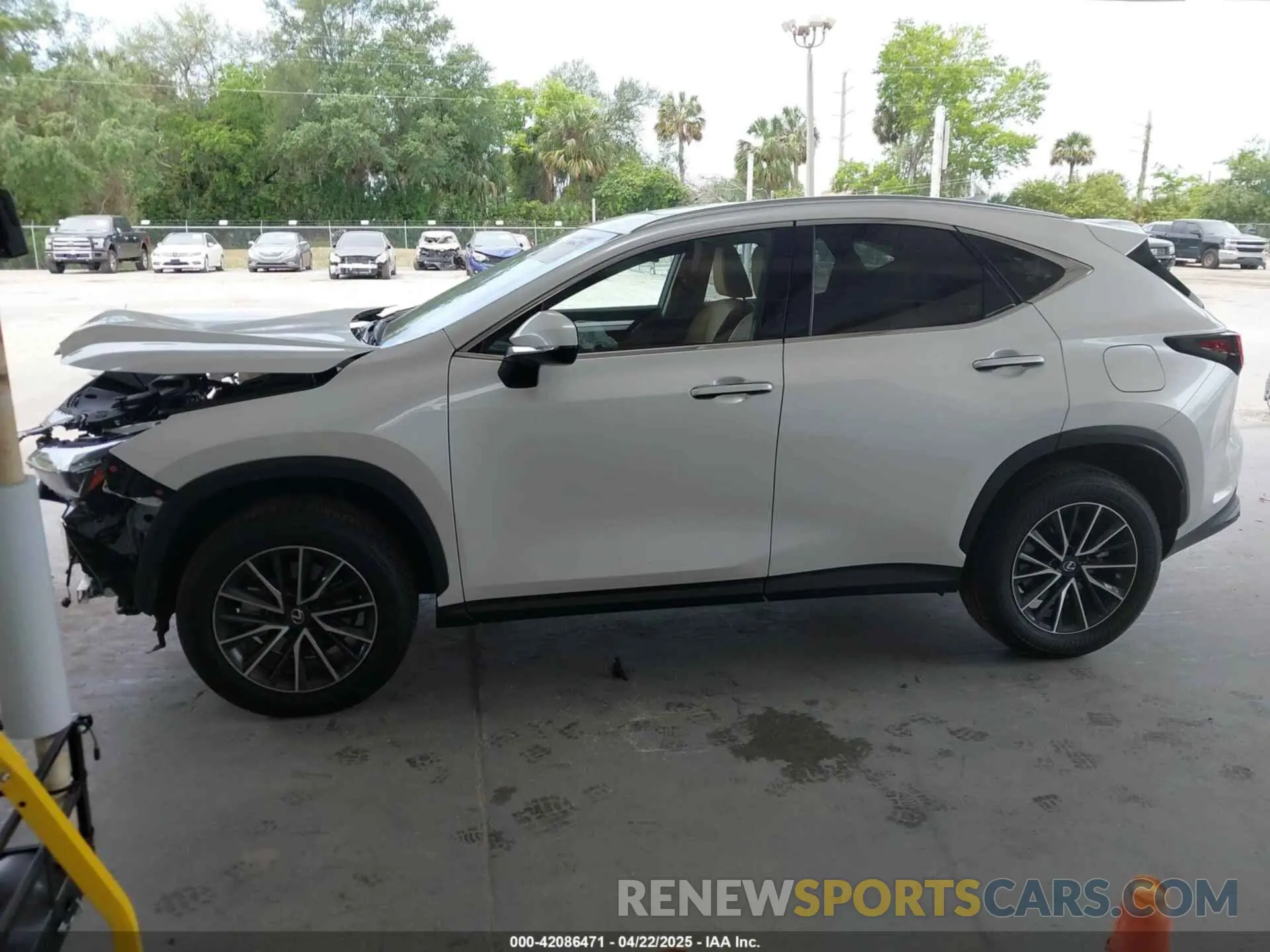 14 Photograph of a damaged car JTJAKCEZ8R5020131 LEXUS NX 350H 2024