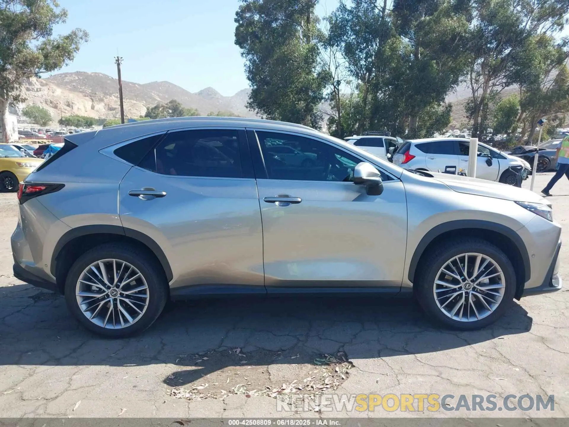 13 Photograph of a damaged car JTJHKCEZ5R5014365 LEXUS NX 350H 2024