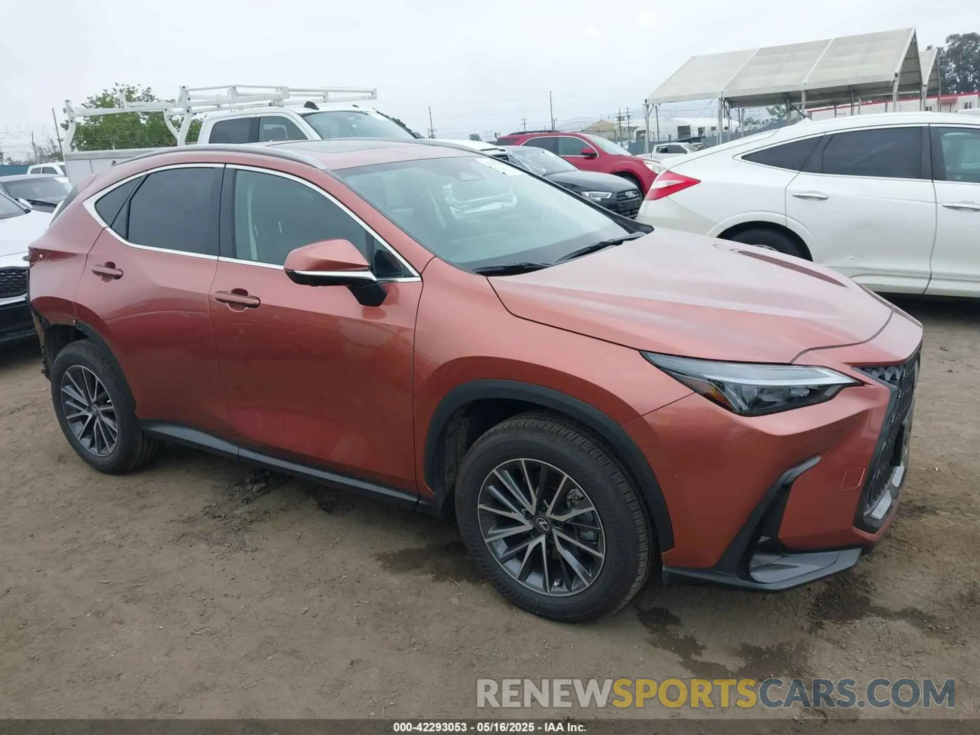 14 Photograph of a damaged car 2T2GKCEZ1SC040979 LEXUS NX 350H 2025
