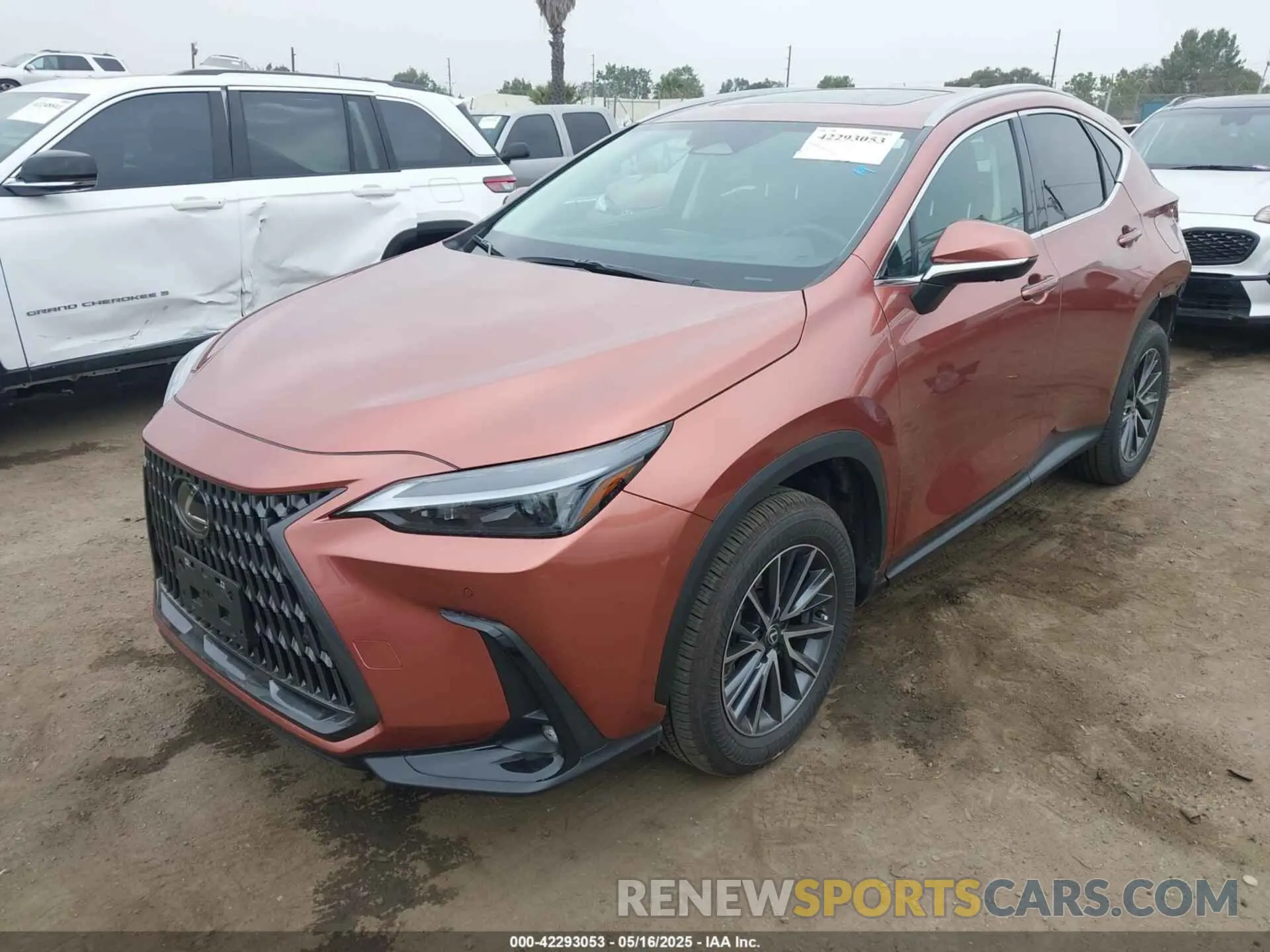 2 Photograph of a damaged car 2T2GKCEZ1SC040979 LEXUS NX 350H 2025