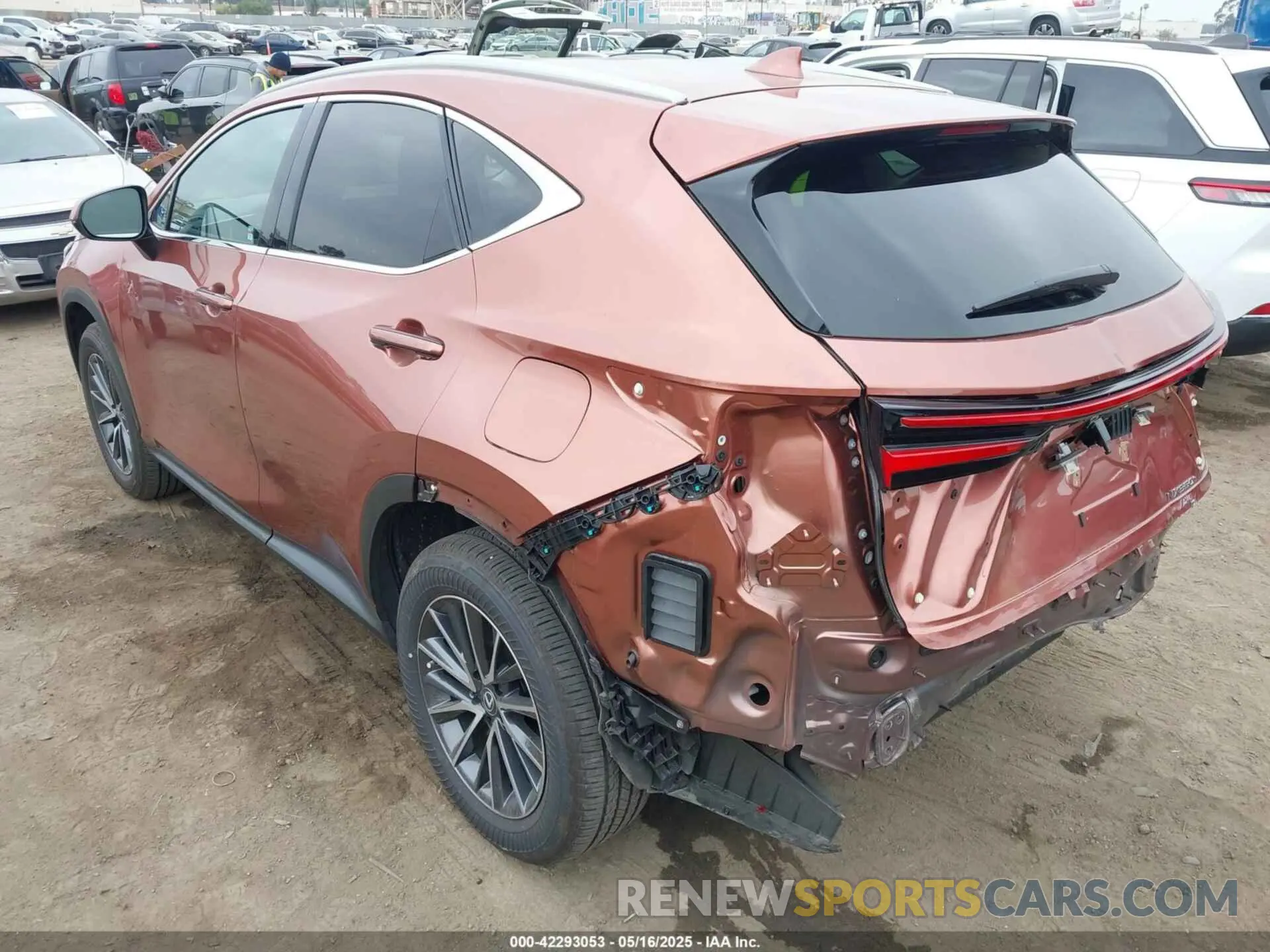 3 Photograph of a damaged car 2T2GKCEZ1SC040979 LEXUS NX 350H 2025